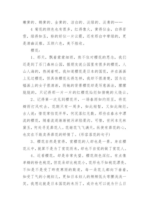 形容各种花的句子与词语.docx