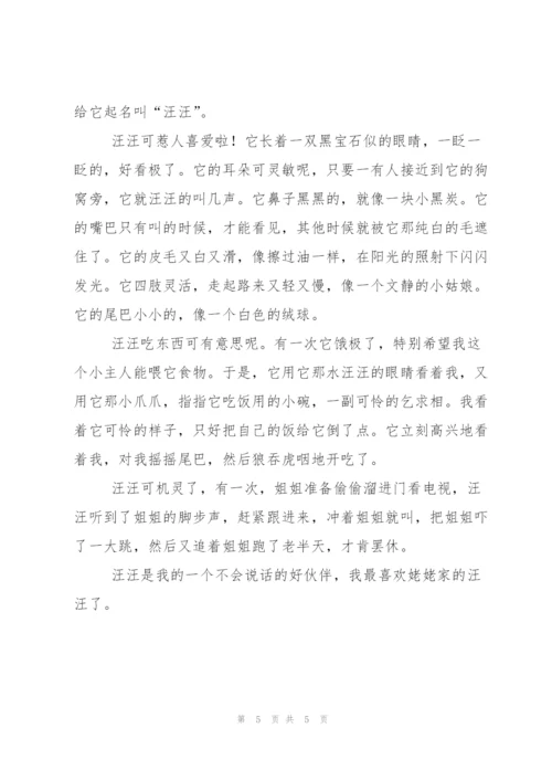 我的小狗作文300字锦集5篇.docx