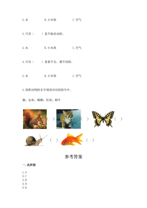 教科版一年级下册科学期末测试卷附参考答案（研优卷）.docx