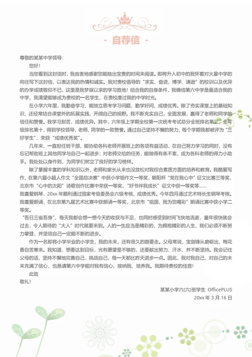 小升初社会实践小明星简历