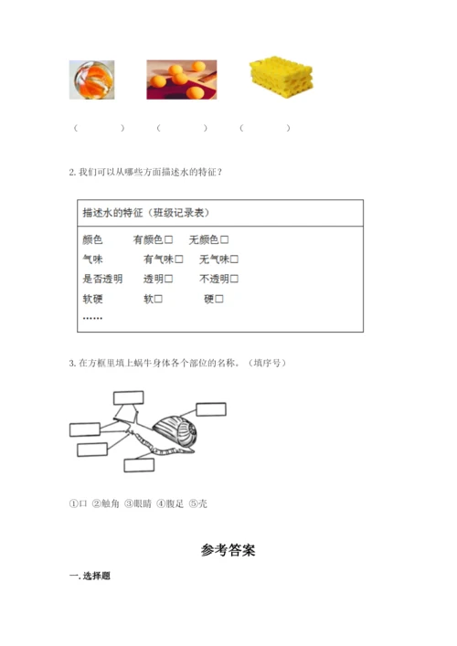 教科版一年级下册科学期末测试卷【轻巧夺冠】.docx
