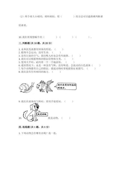 教科版一年级下册科学期末测试卷含完整答案【历年真题】.docx