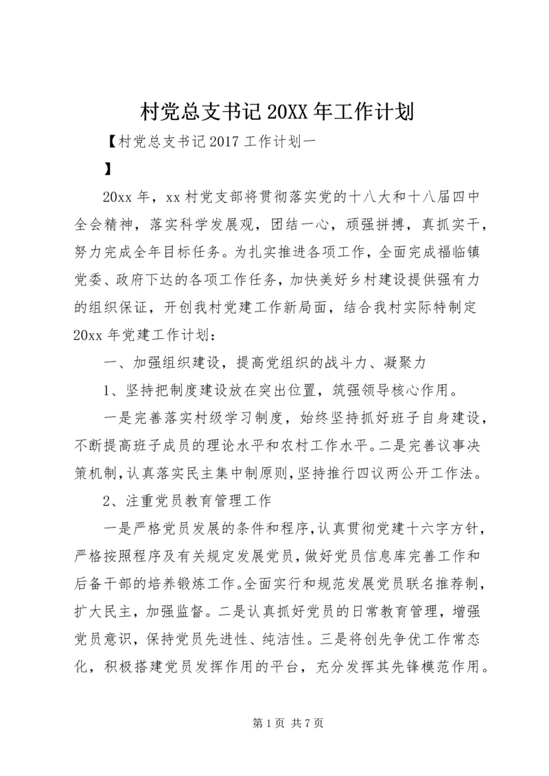 村党总支书记20XX年工作计划.docx