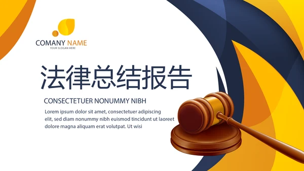 严禁法律总结报告动态PPT