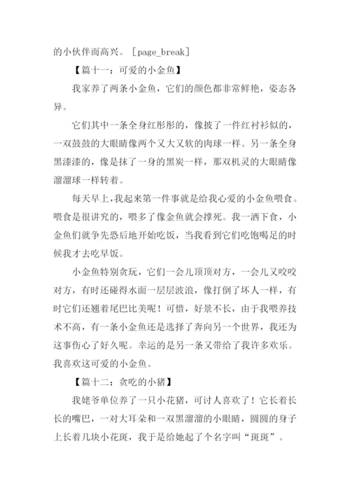 小动物作文350字.docx