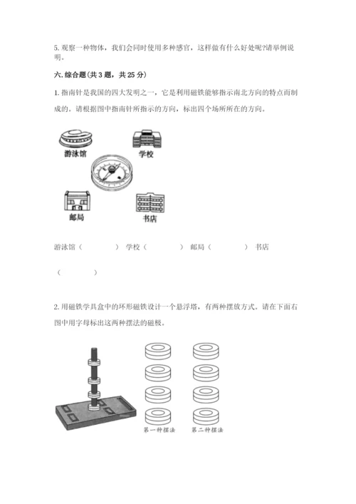 教科版小学科学二年级下册期末测试卷【基础题】.docx