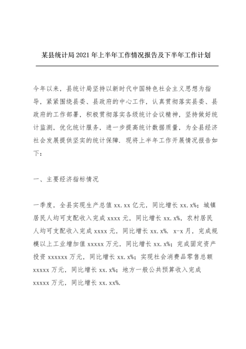 某县统计局2021年上半年工作情况报告及下半年工作计划.docx