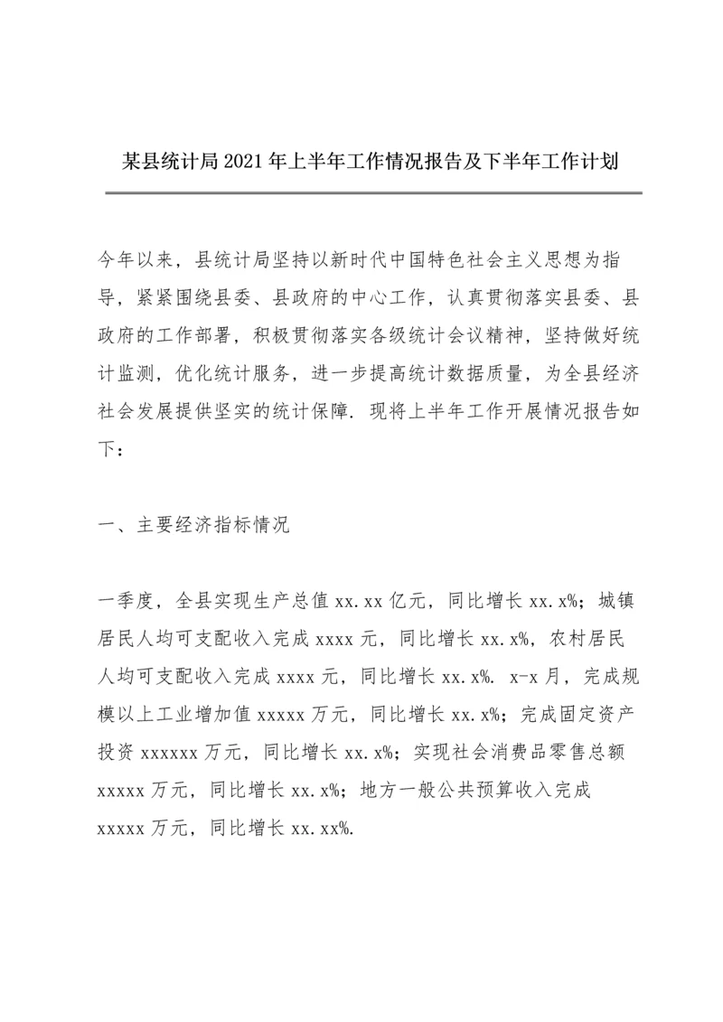 某县统计局2021年上半年工作情况报告及下半年工作计划.docx