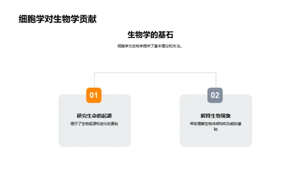 探秘生命之源细胞