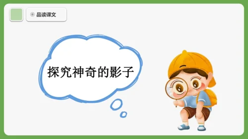 6《影子》课件