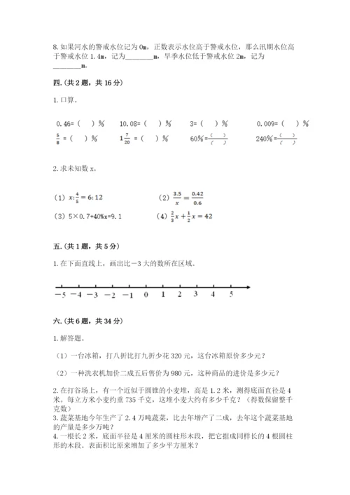 河南省平顶山市六年级下册数学期末测试卷带答案（基础题）.docx