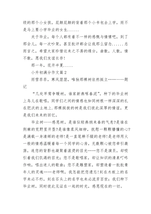 小升初满分作文范文（精选10篇）.docx