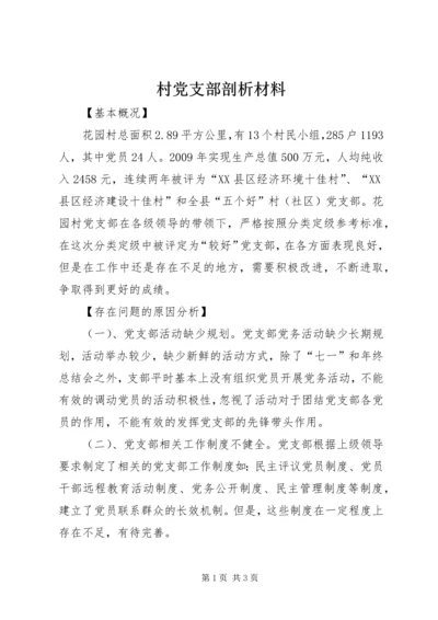 村党支部剖析材料.docx