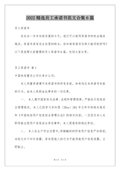 2022精选员工承诺书范文合集6篇.docx