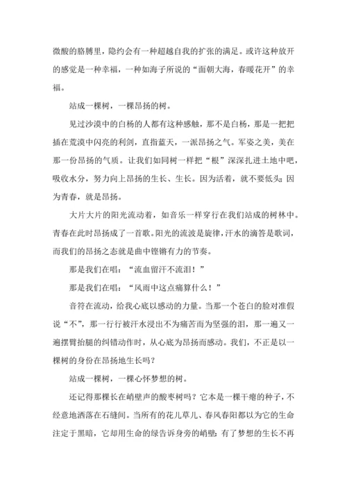 初中军训心得体会合集七篇（三）.docx