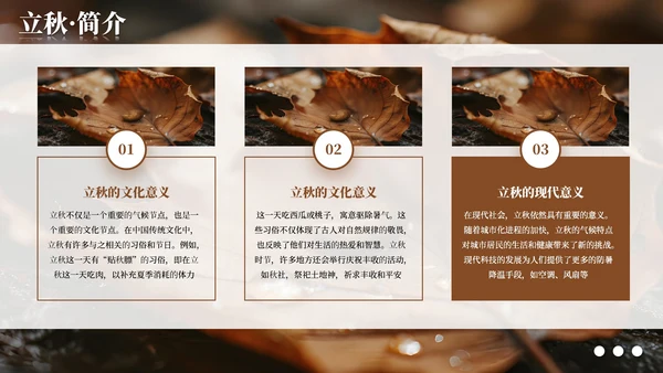 棕色简约商务立秋科普教学课件PPT模板