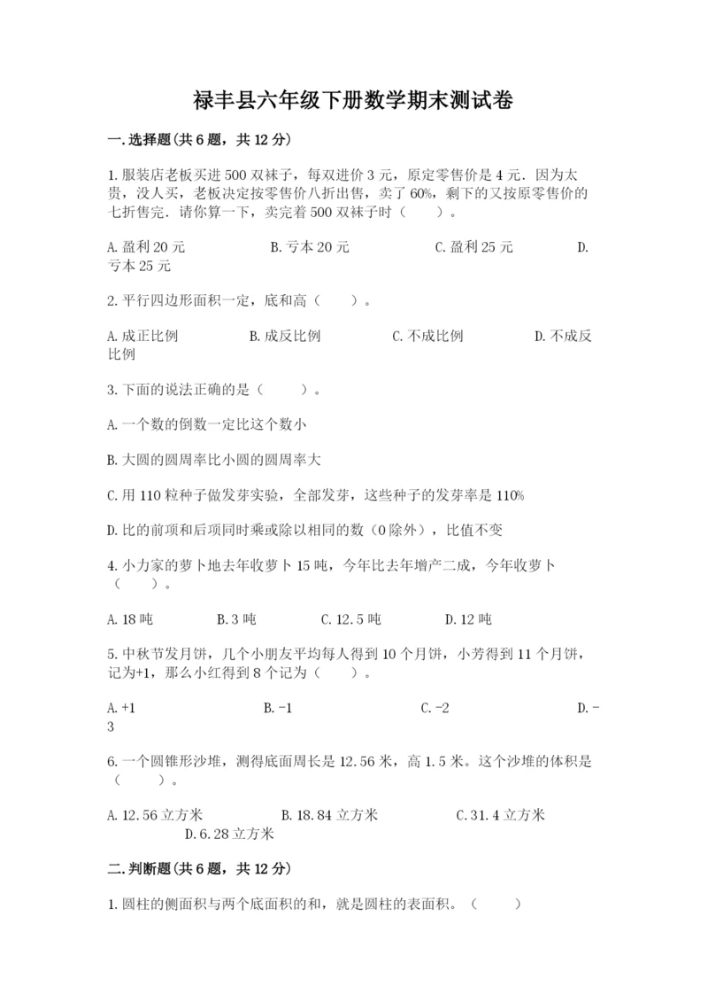 禄丰县六年级下册数学期末测试卷精品加答案.docx