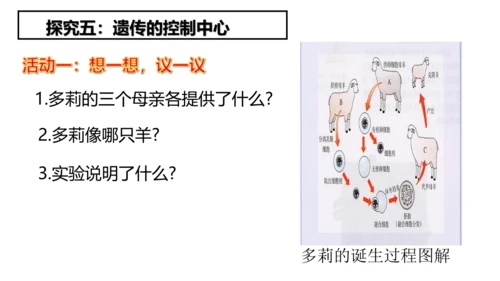 2.1.4细胞的生活课件2023--2024学年人教版生物七年级上册(共34张PPT)