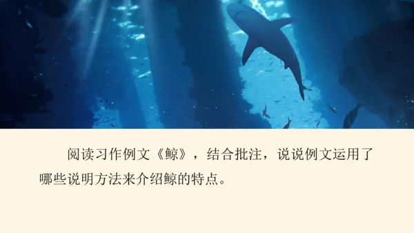 部编版五年级上册语文习作例文与习作   课件