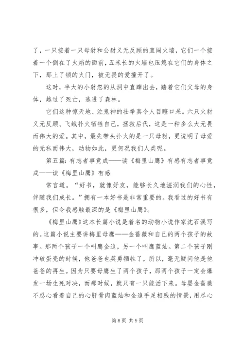 梅里山鹰读后感.docx