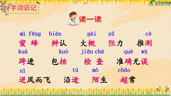 14《蜜蜂》课件
