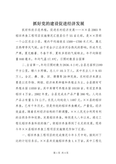 抓好党的建设促进经济发展 (3).docx