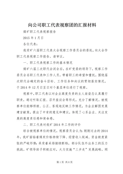 向公司职工代表视察团的汇报材料 (5).docx