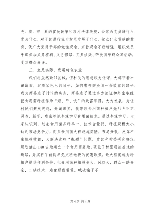 农村支部书记讲话 (9).docx