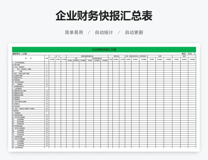 企业财务快报汇总表