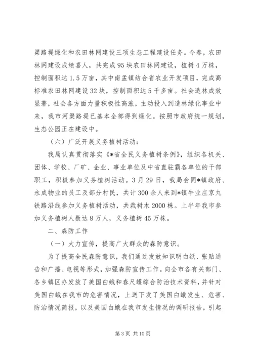 市林业局上半年工作监察总结及计划.docx