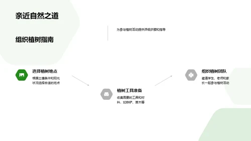 植树日：绿化环保实践