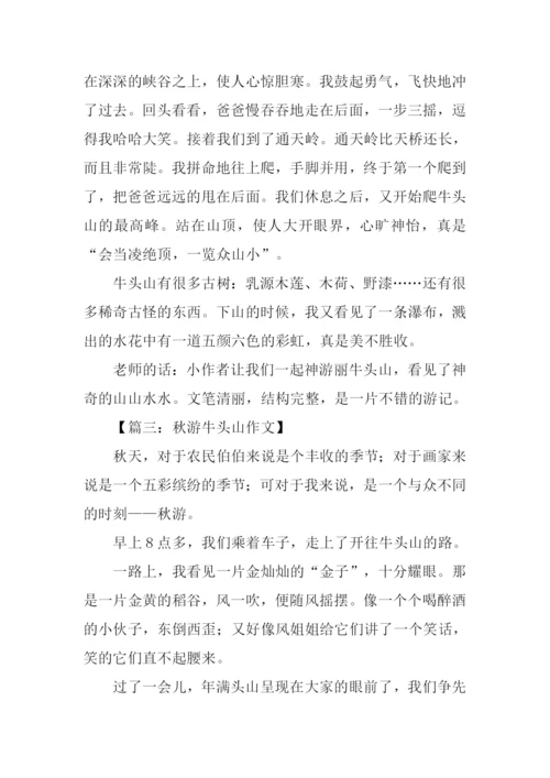 游武义牛头山作文.docx