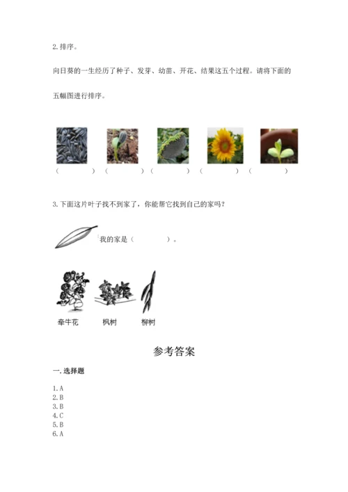 教科版科学一年级上册第一单元《植物》测试卷【培优b卷】.docx