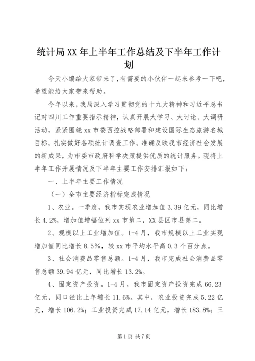 统计局XX年上半年工作总结及下半年工作计划.docx