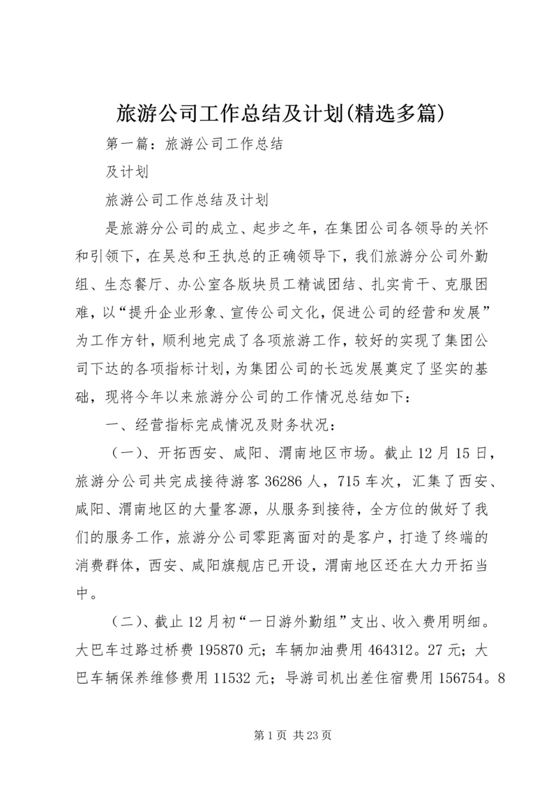 旅游公司工作总结及计划(精选多篇).docx