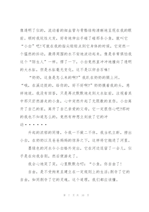 自由的演讲稿800字左右5篇.docx