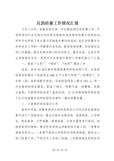 反恐防暴工作情况汇报.docx