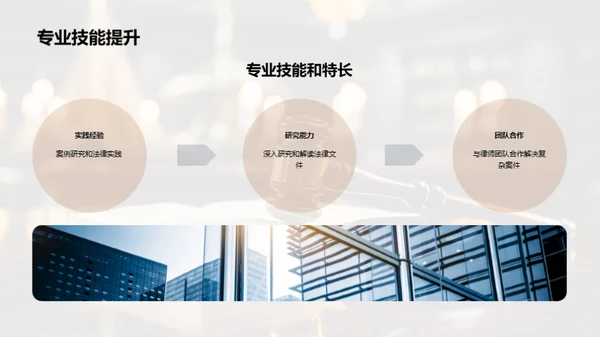 法律职业全景解析