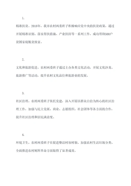 农村两委班孑工作报告