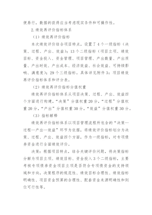 项目支出绩效评估报告.docx