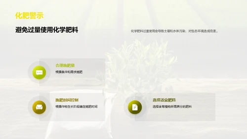 化学肥料的合理使用与环境保护