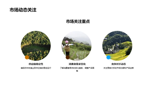 农业收益动态解析