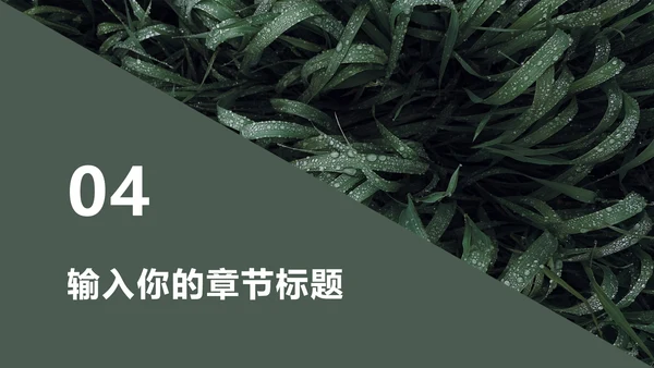 墨绿INS风小清新实景草地教学PPT模板