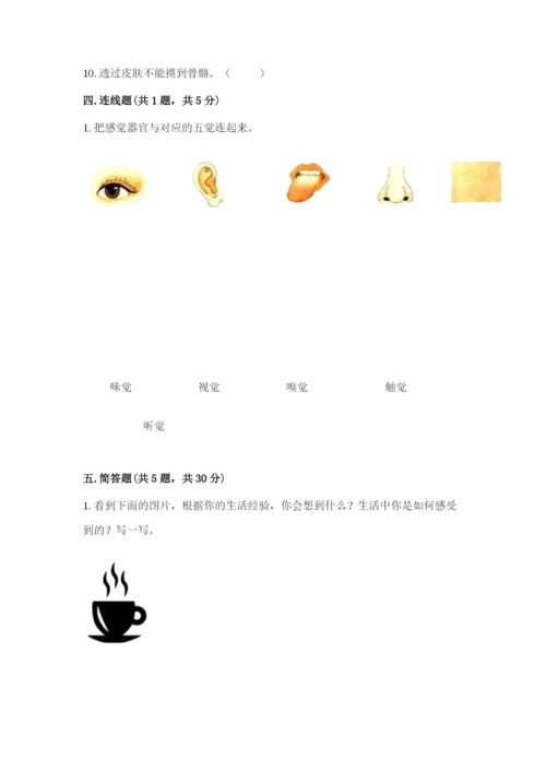 教科版二年级下册科学期末测试卷附参考答案【预热题】.docx