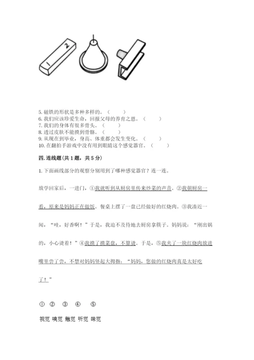 教科版二年级下册科学知识点期末测试卷【培优b卷】.docx