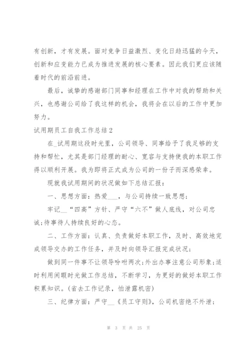 试用期员工自我工作总结.docx