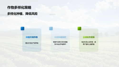 种植之道，成果之光