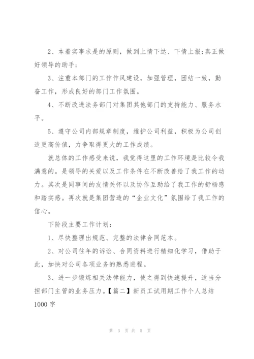 新员工试用期工作个人总结1000字.docx