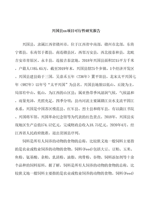 兴国县项目可行性研究报告参考范文分析
