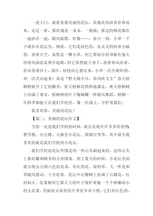 美丽的花坛作文300字.docx